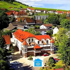 Hotel Rebstock ****